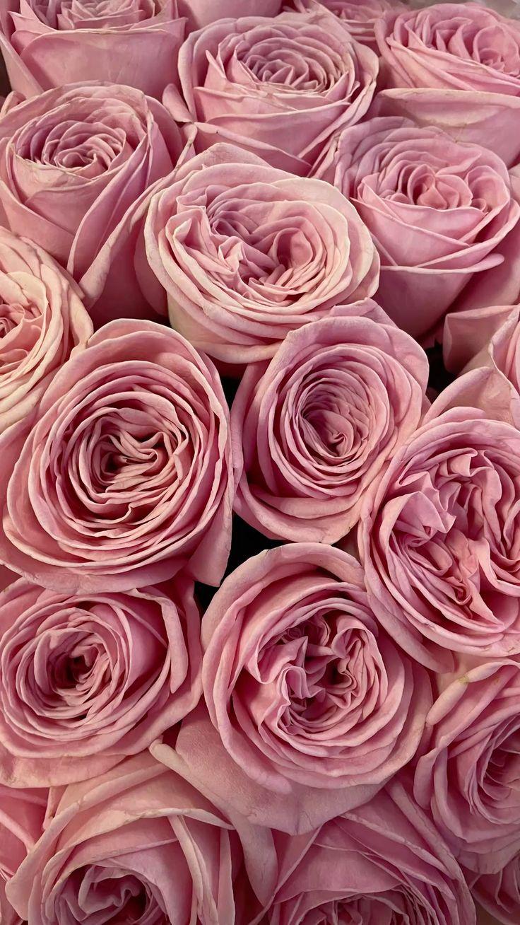 Solid Carry Still workshop space where corporate flower arrangements are designed and prepared for business delivery